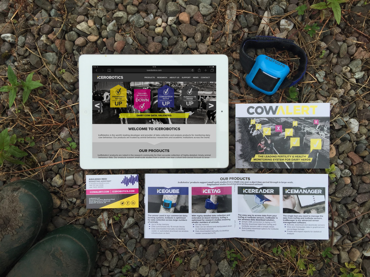 IceRobotics | Cow Monitoring Rebranded